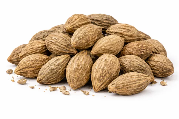 Harad_Big_Whole_Terminalia_Chebula